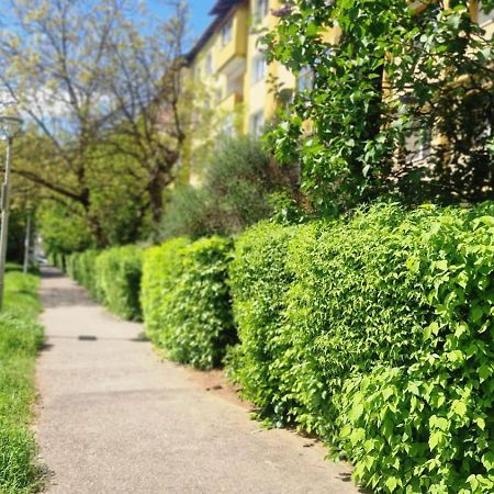 University Apartment Baia Mare Exterior foto