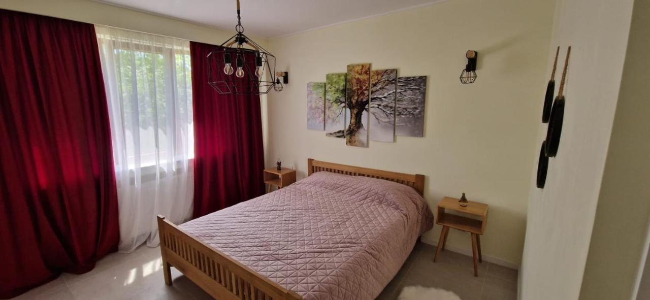 University Apartment Baia Mare Exterior foto